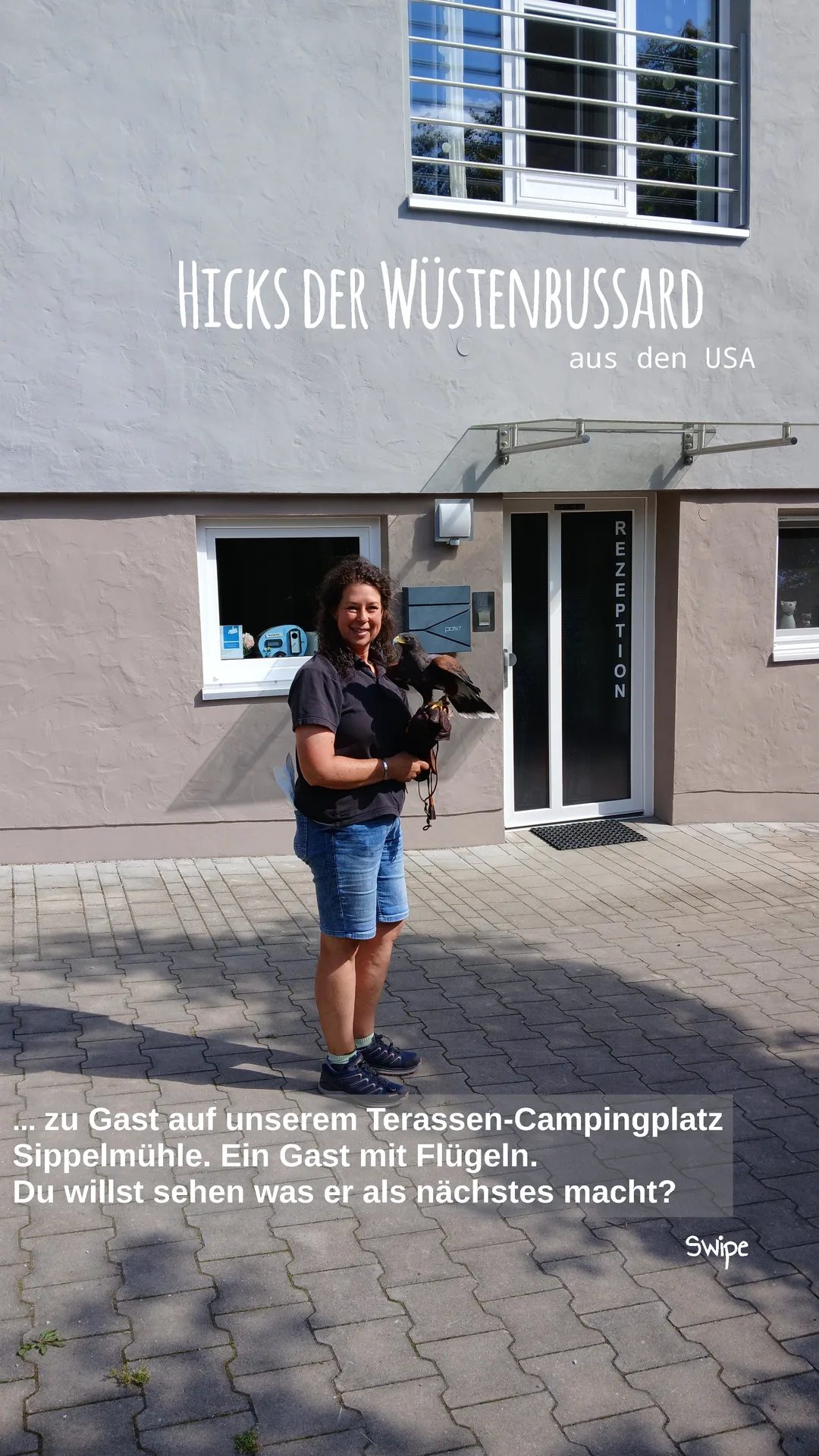 Frau mit Wüstenbussard vor dem Campingplatz.