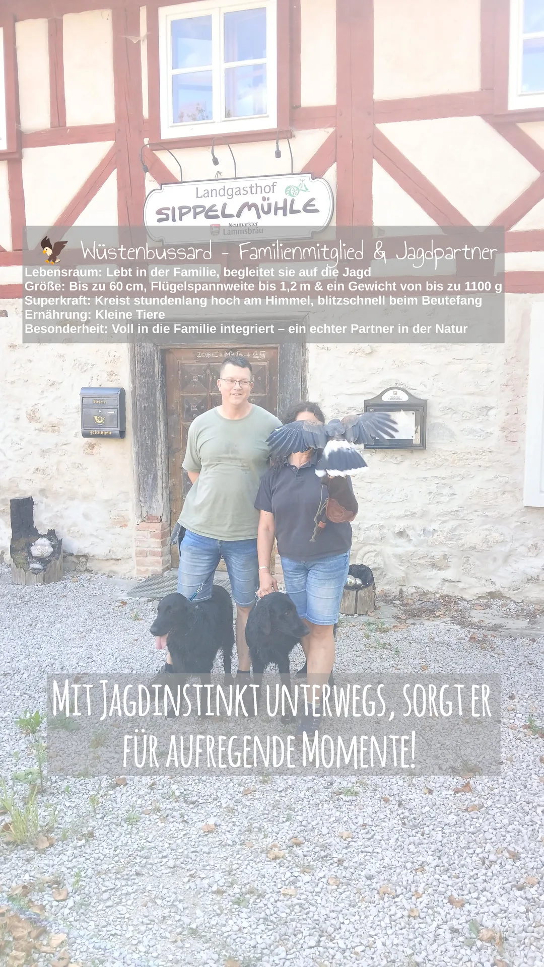 Zwei Personen vor dem Eingang des Landgasthofs Sippelmühle.