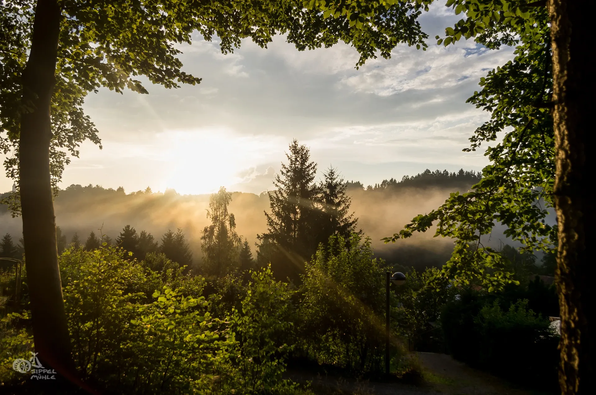 Sonnenstrahlen fallen durch Bäume in den Morgennebel über dem Campingplatz.