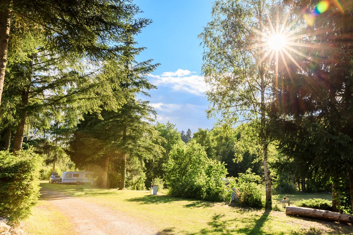 Sonnenlicht auf dem Weg zwischen den Stellplätzen.