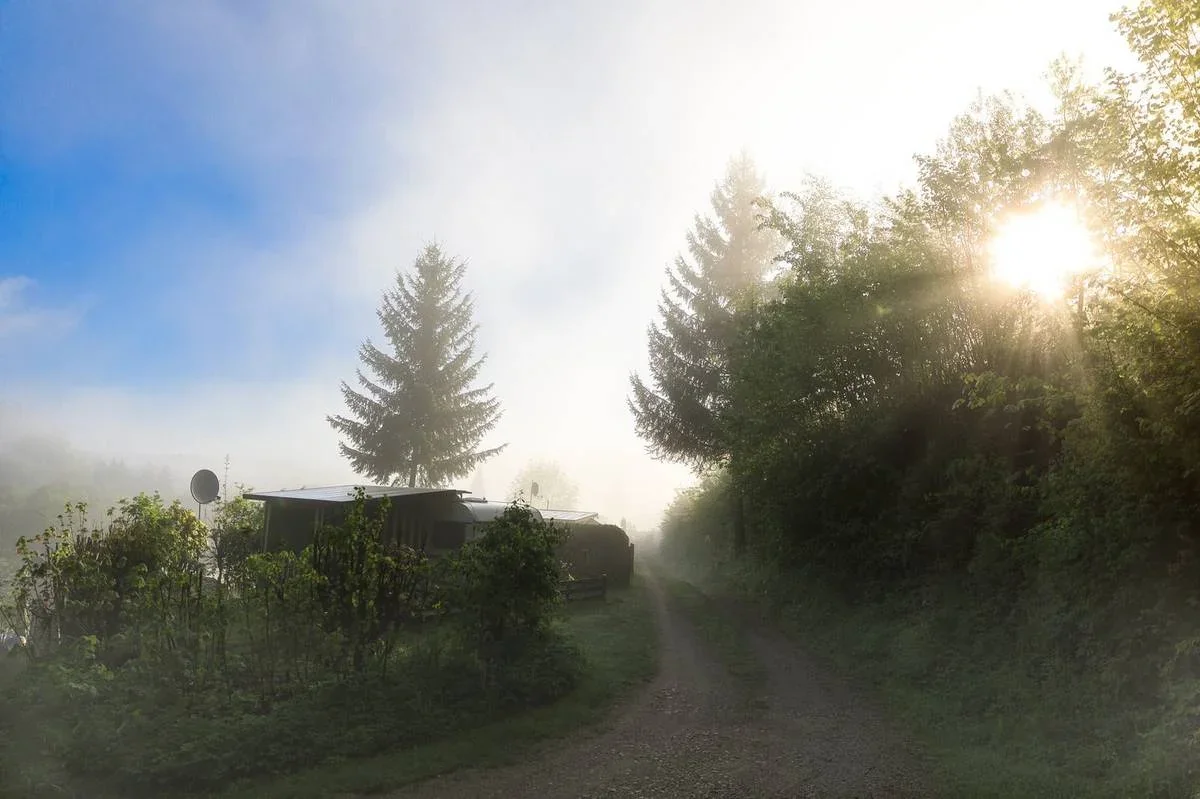 Nebel liegt zwischen Hecken und Dauerstellplätzen.