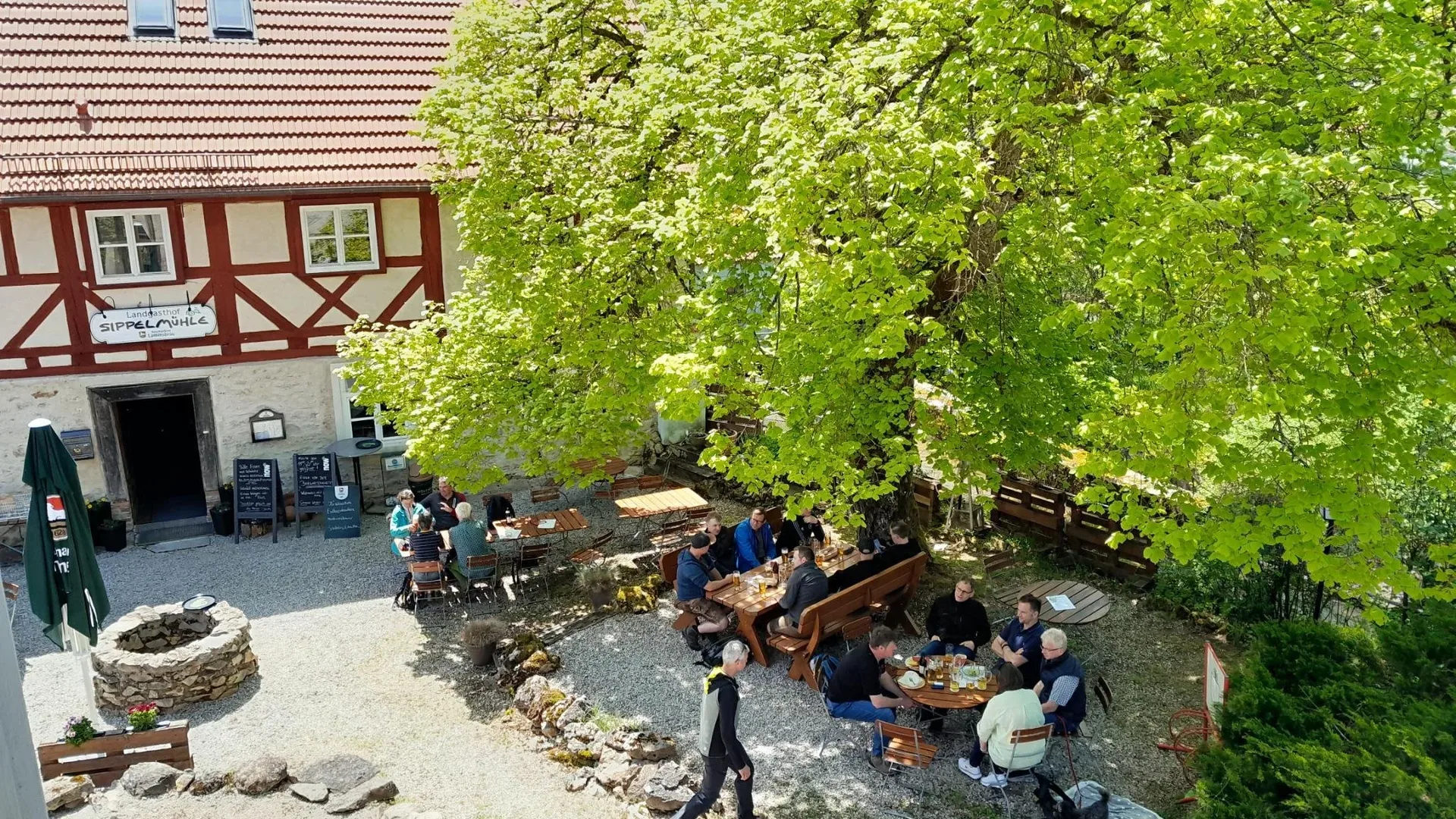 Biergarten am Landgasthof Sippelmühle unter einem großen Baum.