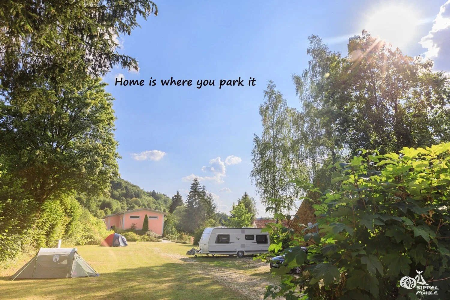 Wohnwagen und Zelte auf einer sonnigen Wiese unter hohen Bäumen.