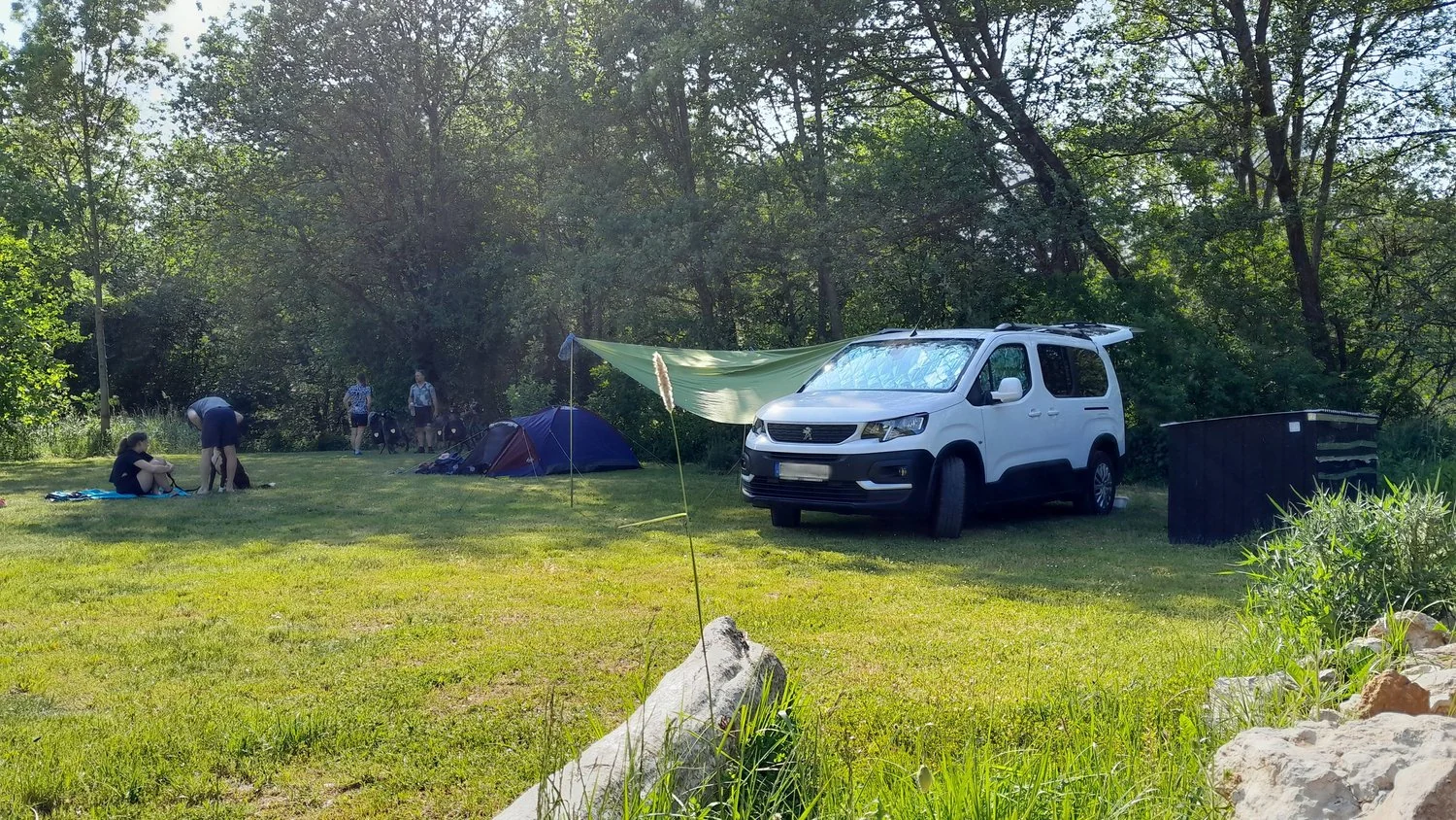 Camper auf der Wiese am Waldrand.