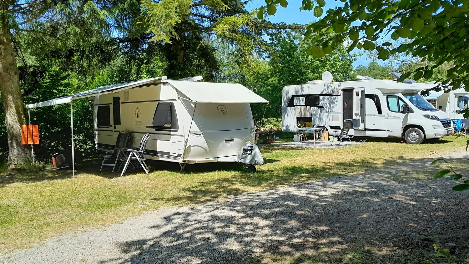 Wohnwagen und Wohnmobile unter schattigen Bäumen.