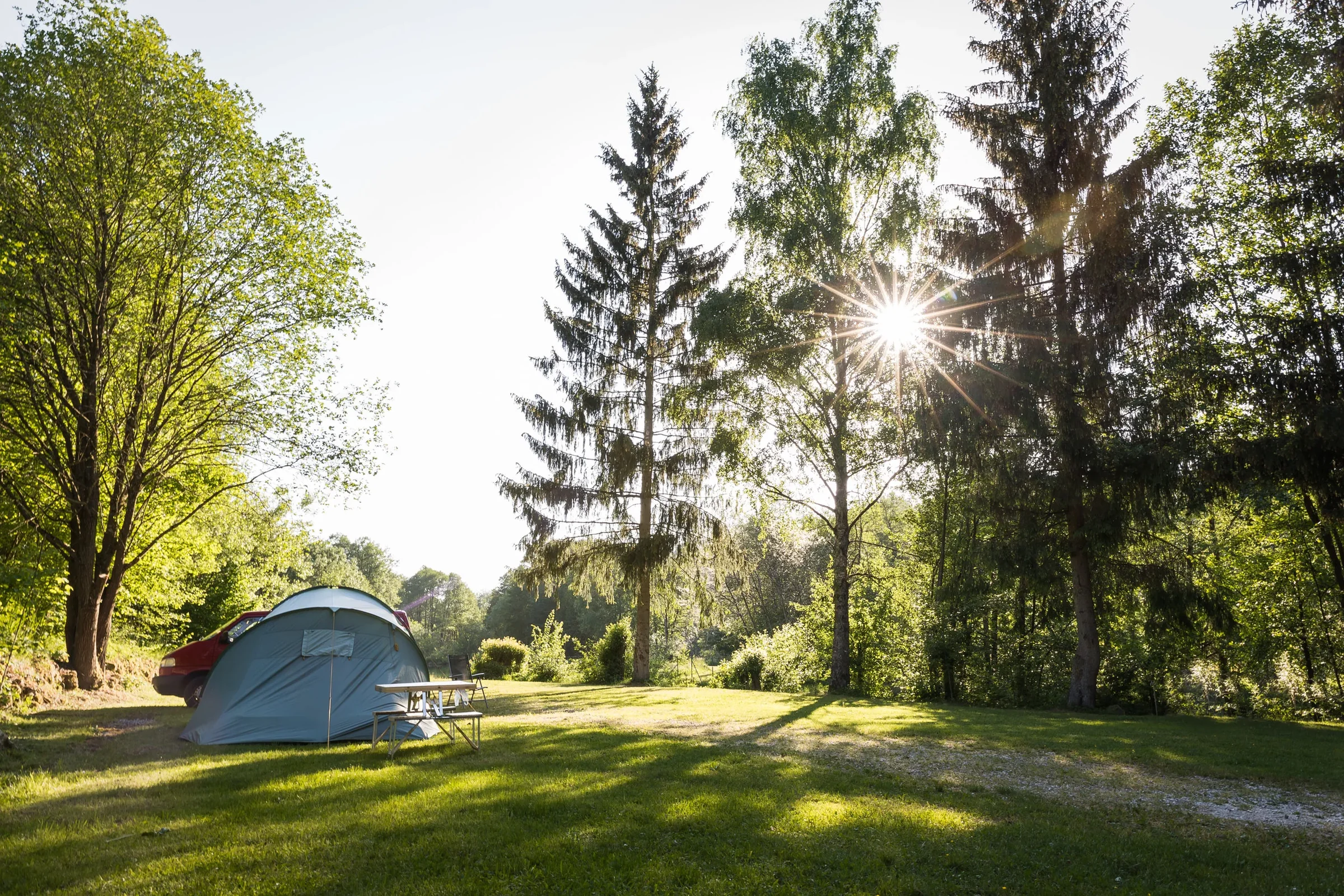 Zelt auf einer sonnigen Wiese zwischen hohen Bäumen.