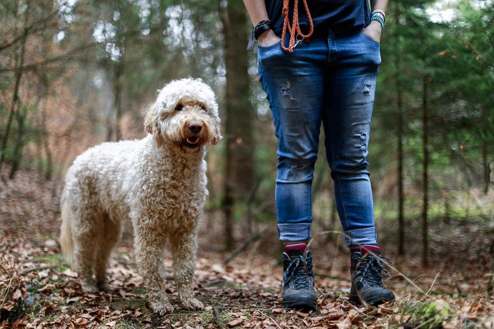 Kartenbild zur Wanderroute: Flotter Gassiweg.