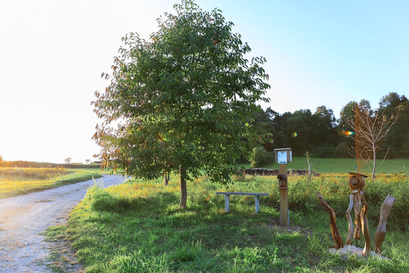 Kartenbild zur Wanderroute: Zum Marterl.