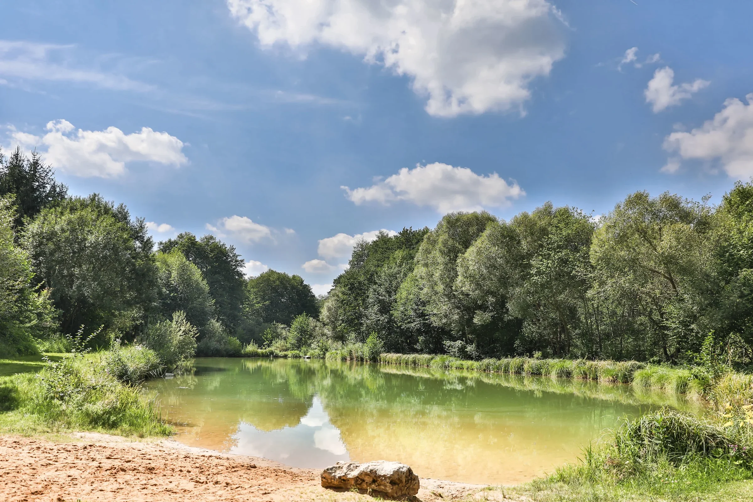 Weiher mit Badestelle mit Fontäne und dichter Baumkulisse.
