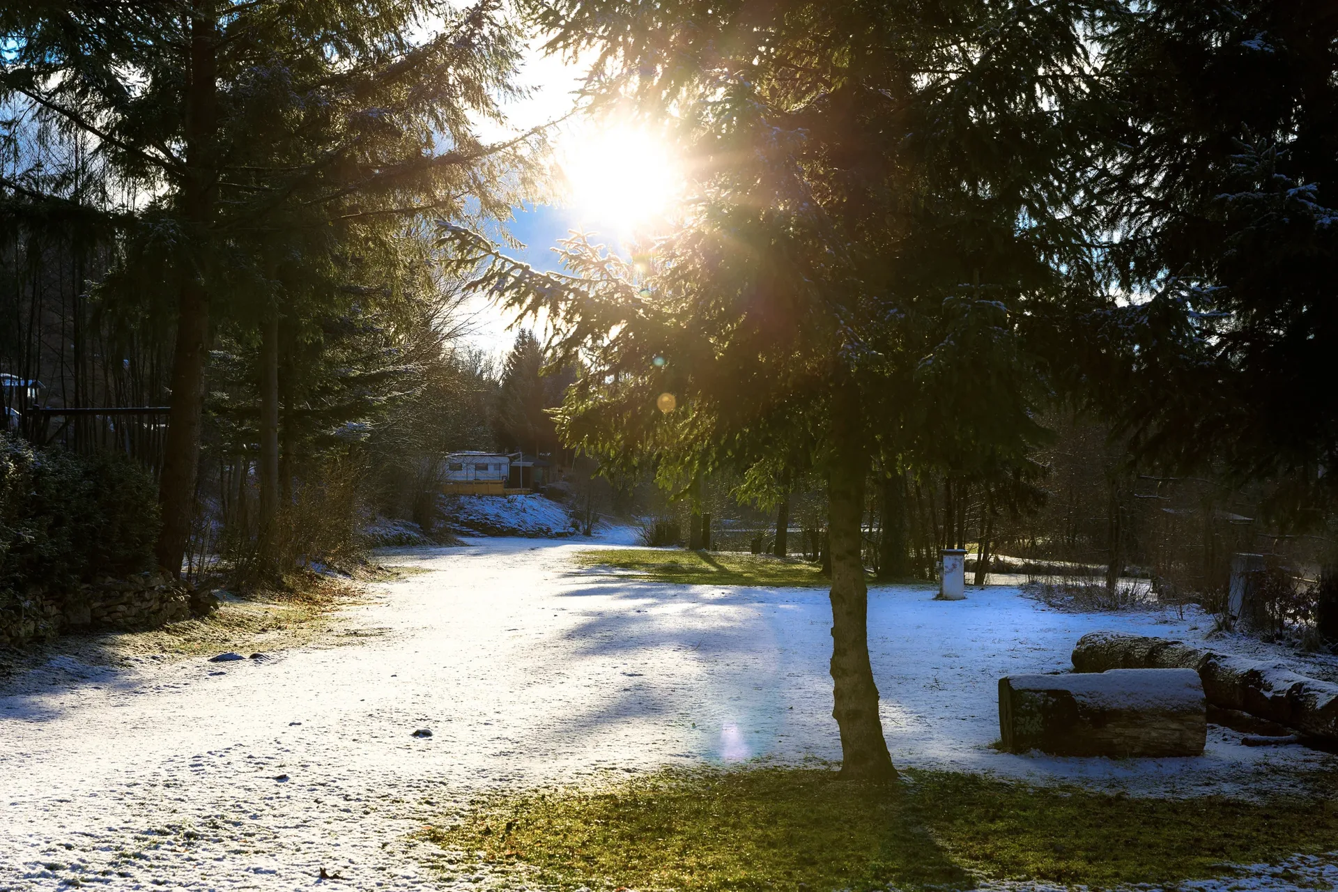 Wintersonne im Wald am Campingplatz.